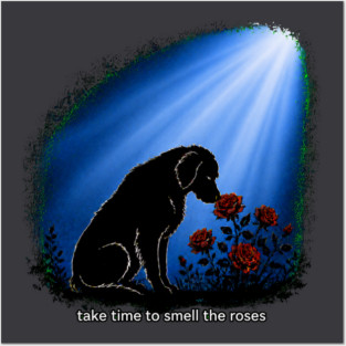 Take Time To Smell The Roses Posters and Art